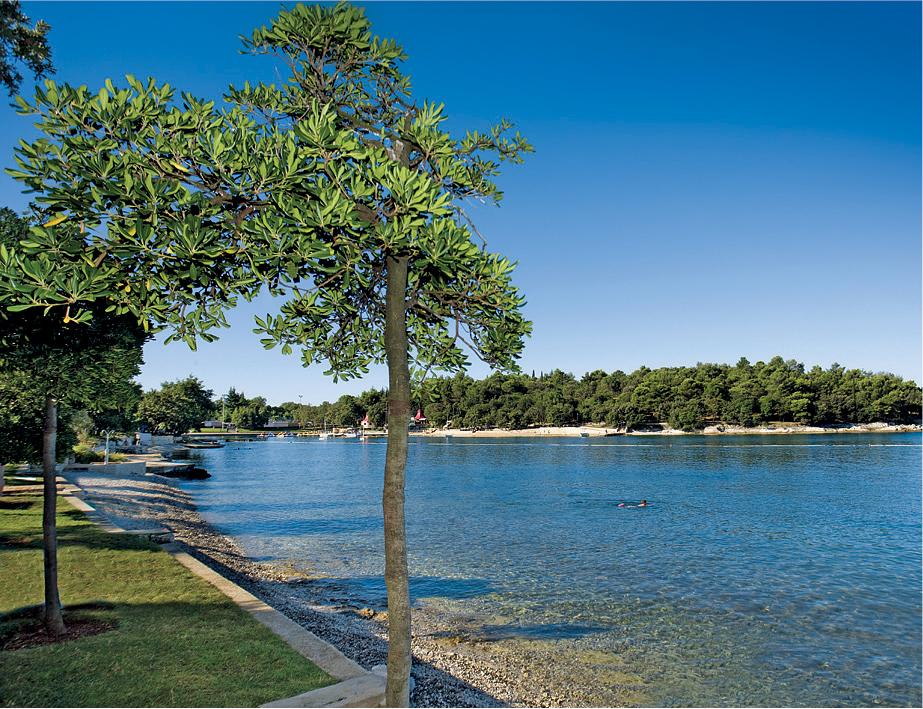 Hotel Zorna Plava Laguna Πόρετς Εξωτερικό φωτογραφία